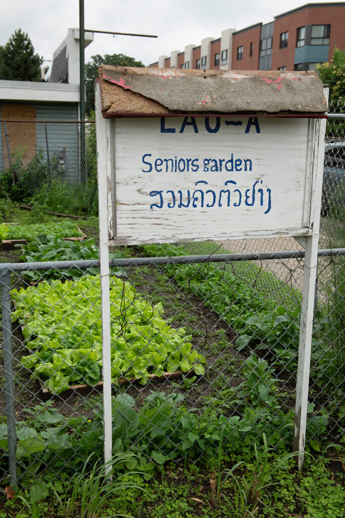 Photo of Lao Advancement Organization of America's garden. A sign reads "Seniors garden" in English and Laotian.